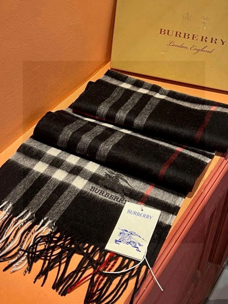 Burberry Scarf Cozy 271348