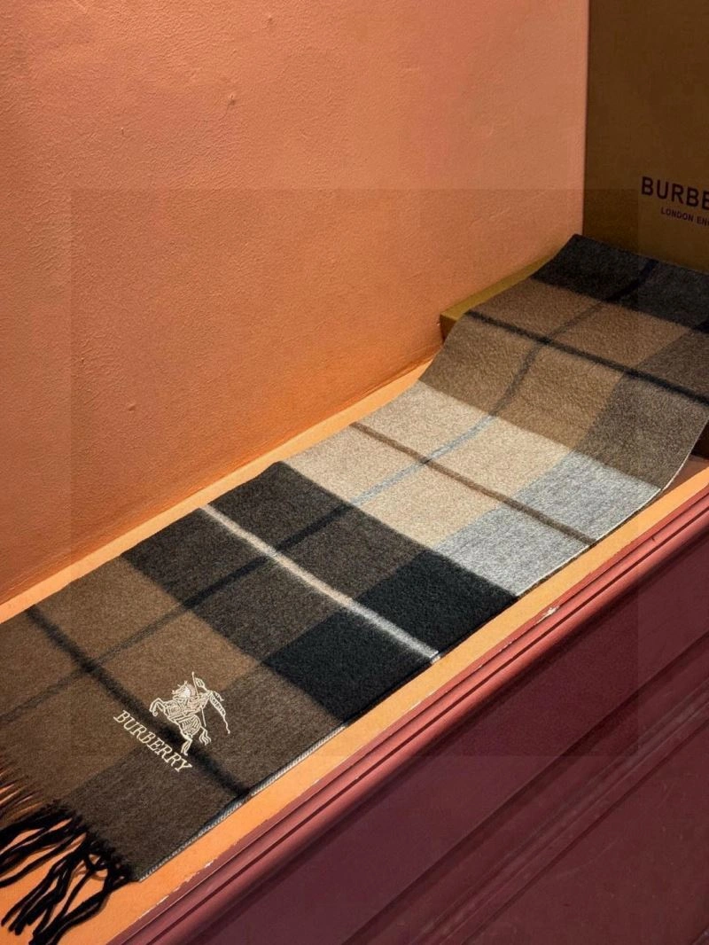 HighPerformance Burberry Scarf 271330