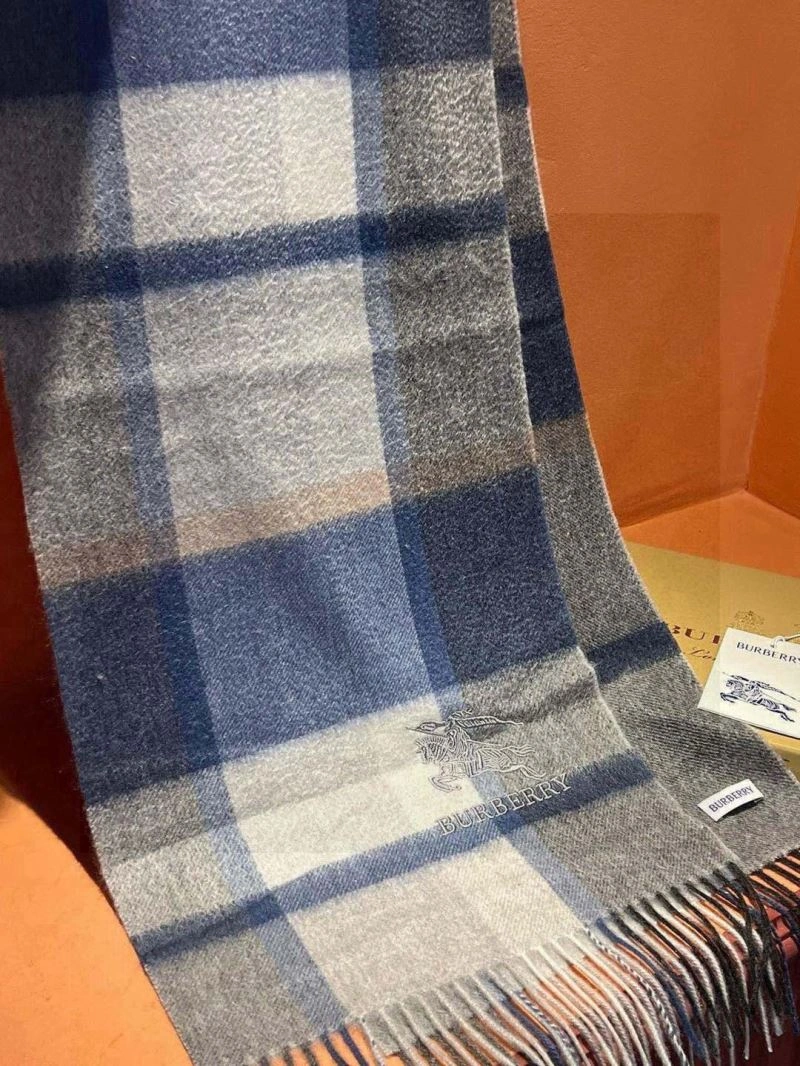 Supportive Burberry Scarf 271332