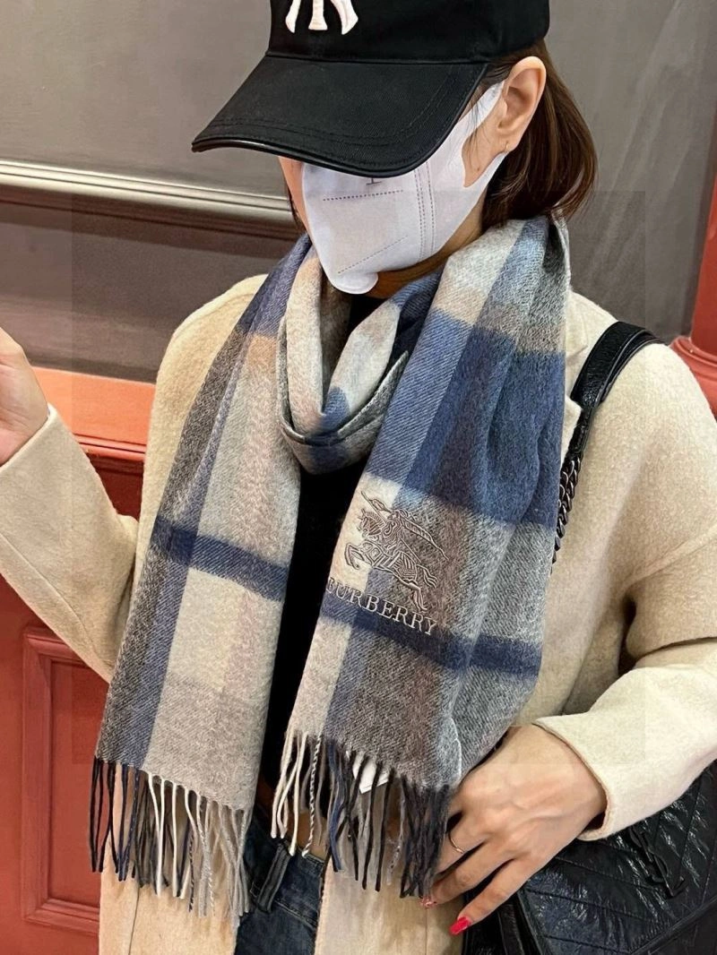 Supportive Burberry Scarf 271332