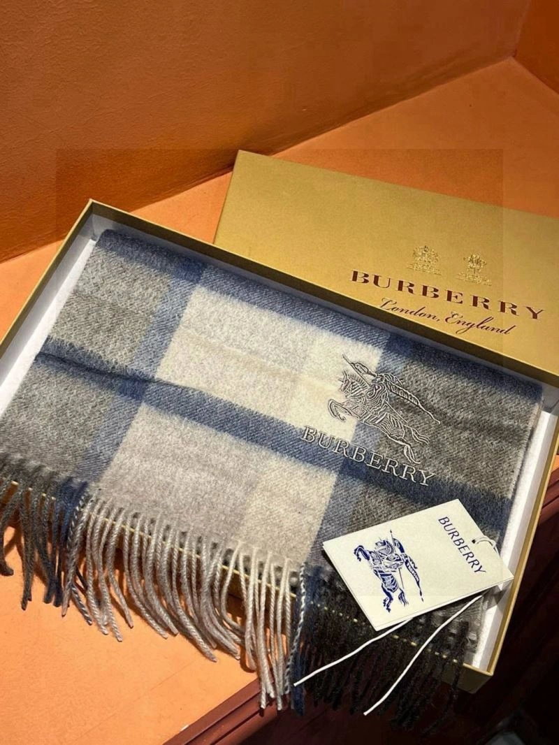 Supportive Burberry Scarf 271332