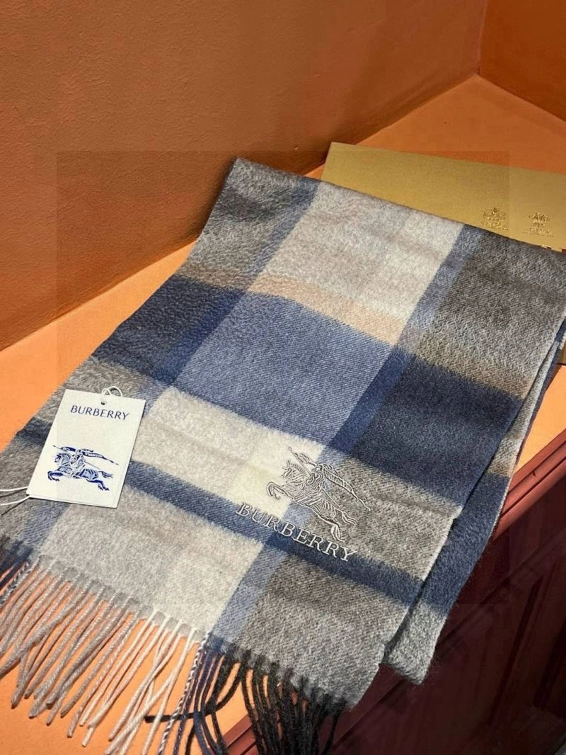 Supportive Burberry Scarf 271332
