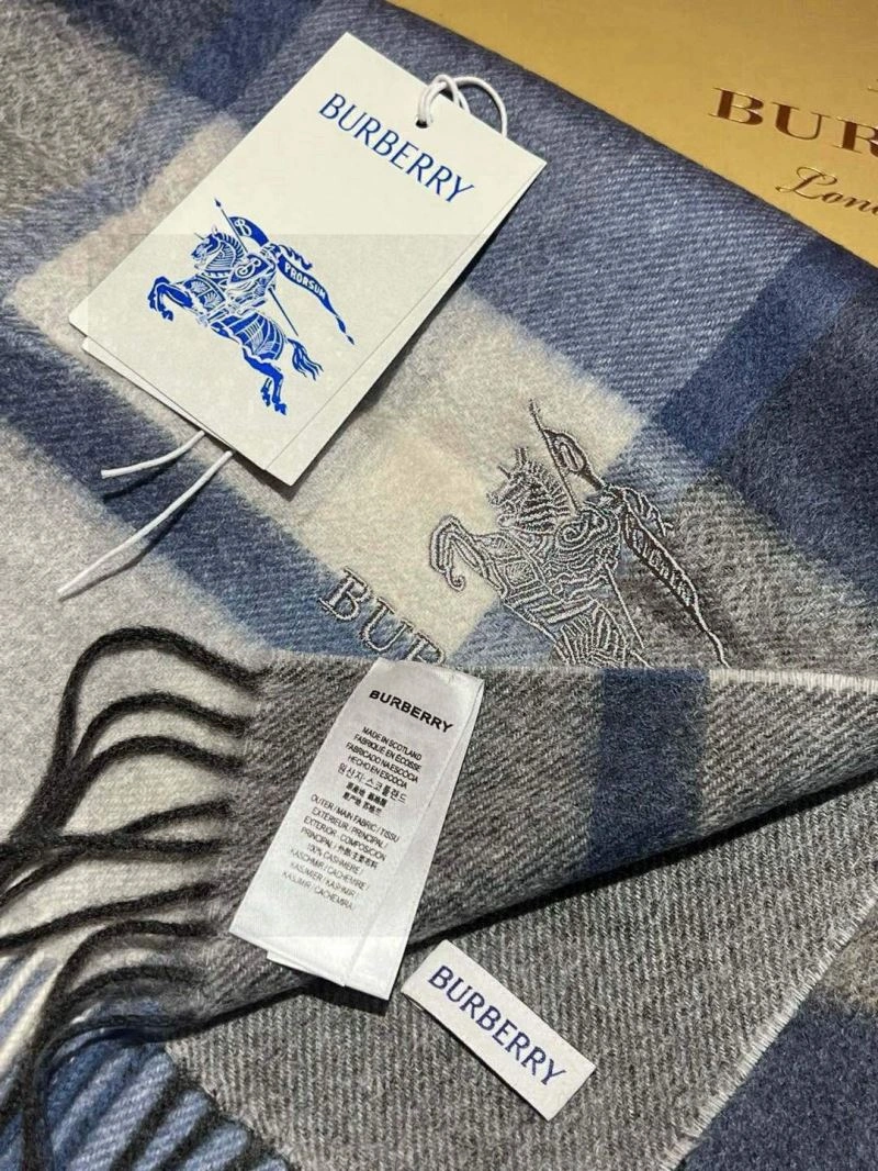 Supportive Burberry Scarf 271332