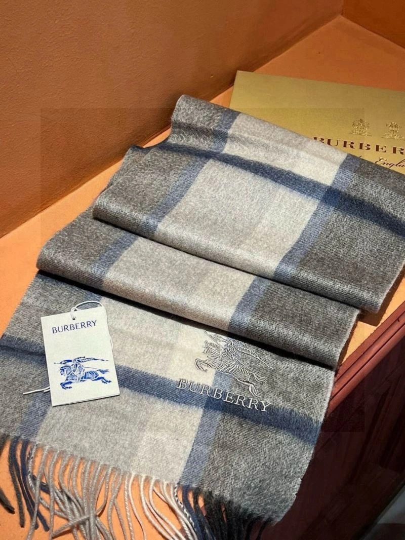 Supportive Burberry Scarf 271332