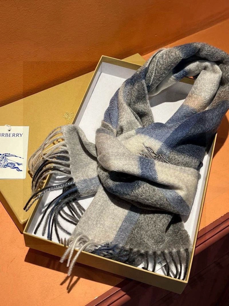 Supportive Burberry Scarf 271332