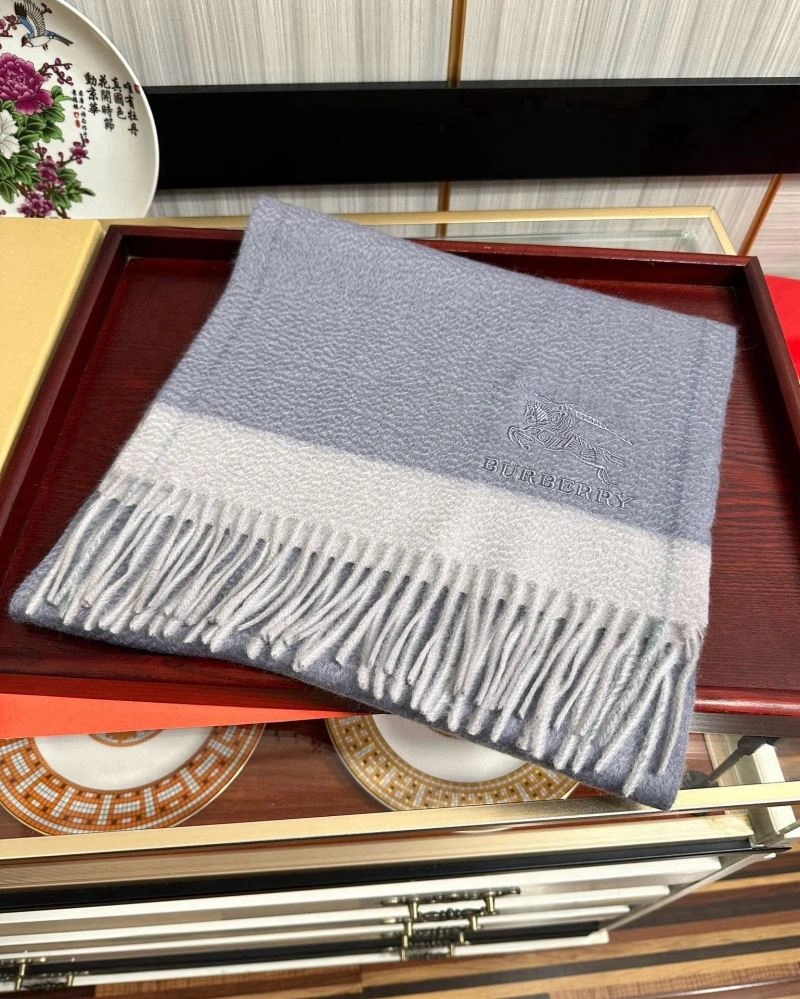 Functional Burberry Scarf 271291