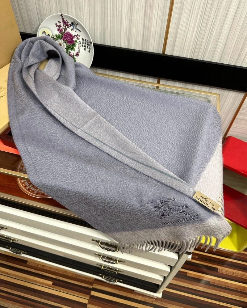Functional Burberry Scarf 271291