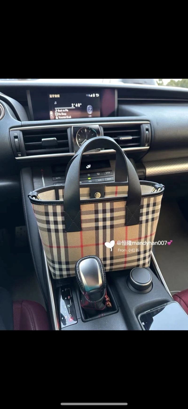 ModernLook Burberry Shopping Bags 64511