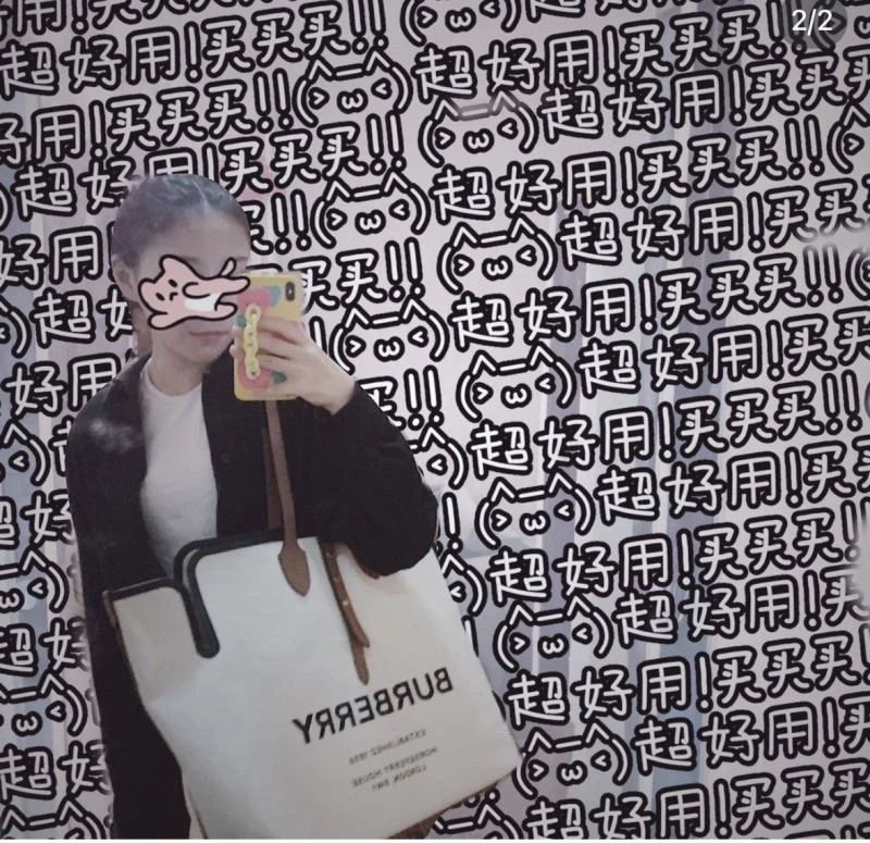 StreetReady Burberry Shopping Bags 64551