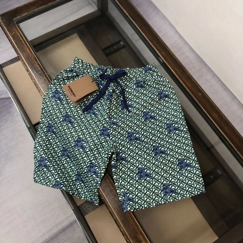 Burberry Short Pants DailyWear 105380