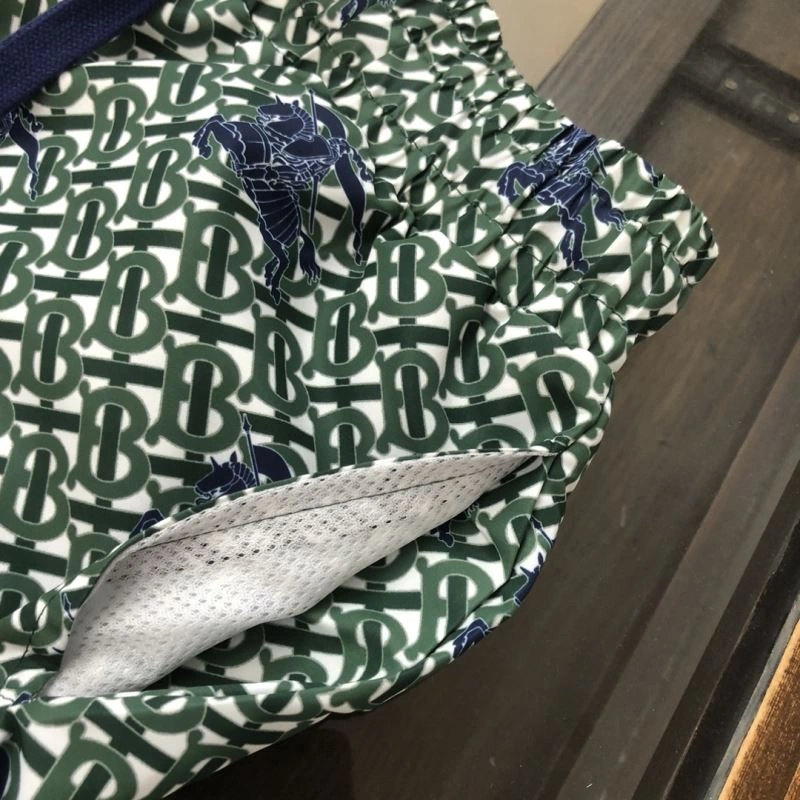 Burberry Short Pants DailyWear 105380