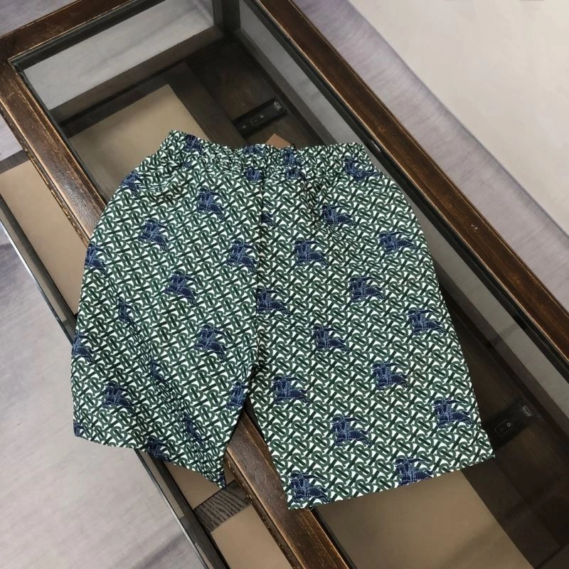 Burberry Short Pants DailyWear 105380