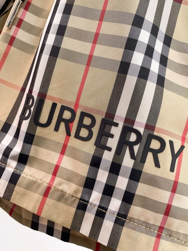 Casual Burberry Short Pants 102107