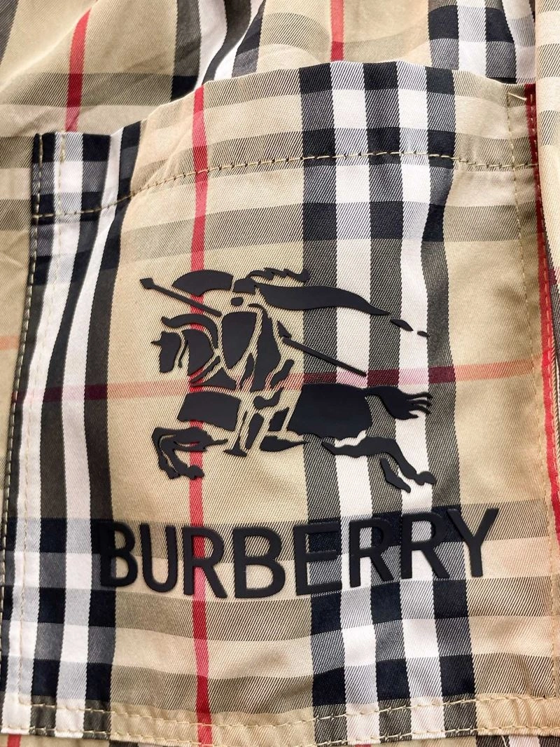 Casual Burberry Short Pants 102107