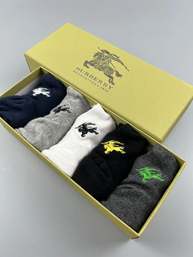Trendy Burberry Socks 274685