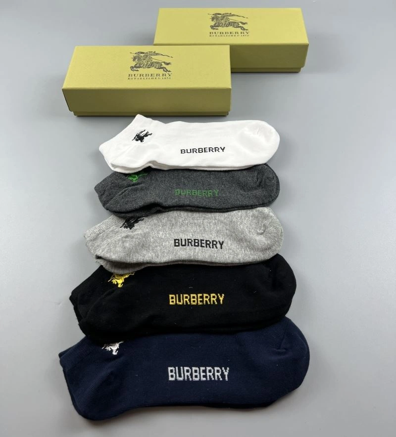 Trendy Burberry Socks 274685