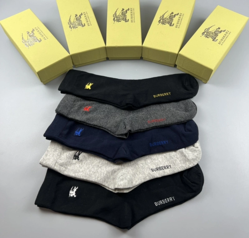 Efficient Burberry Socks 274519