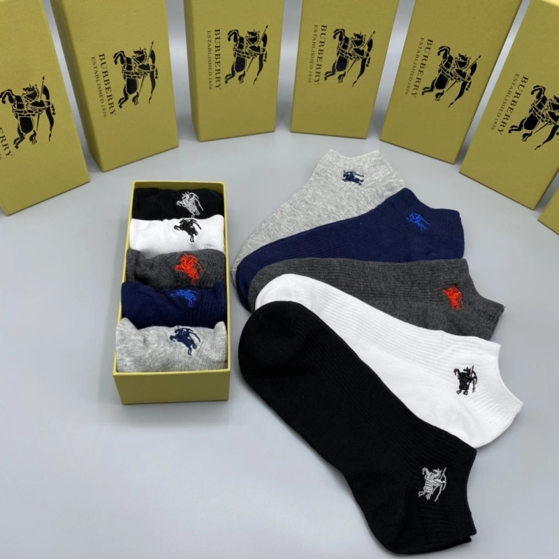 Lightweight Burberry Socks 274351