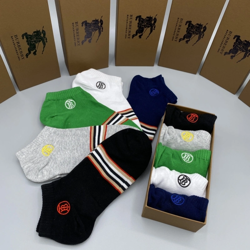 GoAnywhere Burberry Socks 274350