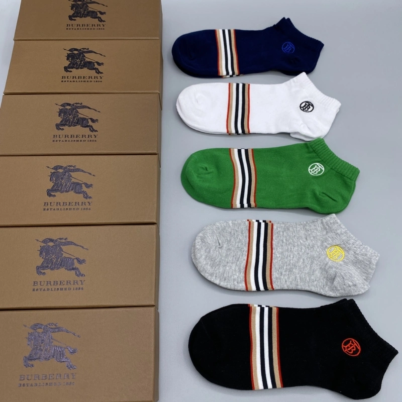 GoAnywhere Burberry Socks 274350
