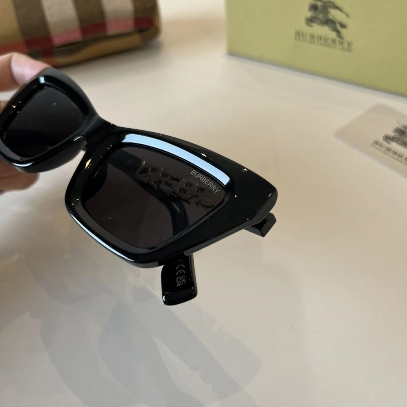 Burberry Sunglasses Timeless 277137