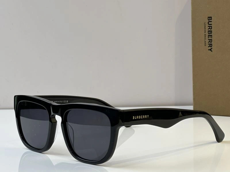 WeatherProof Burberry Sunglasses 277240