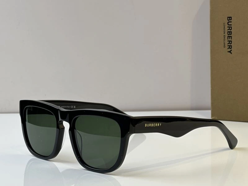 WeatherProof Burberry Sunglasses 277240
