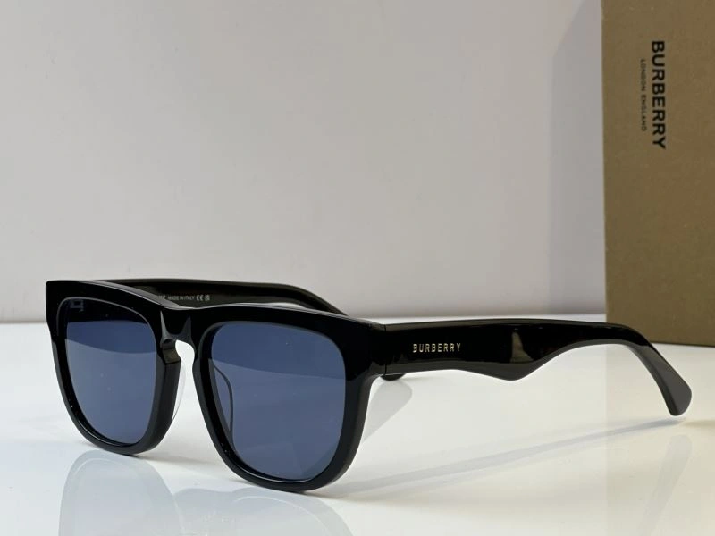 WeatherProof Burberry Sunglasses 277240