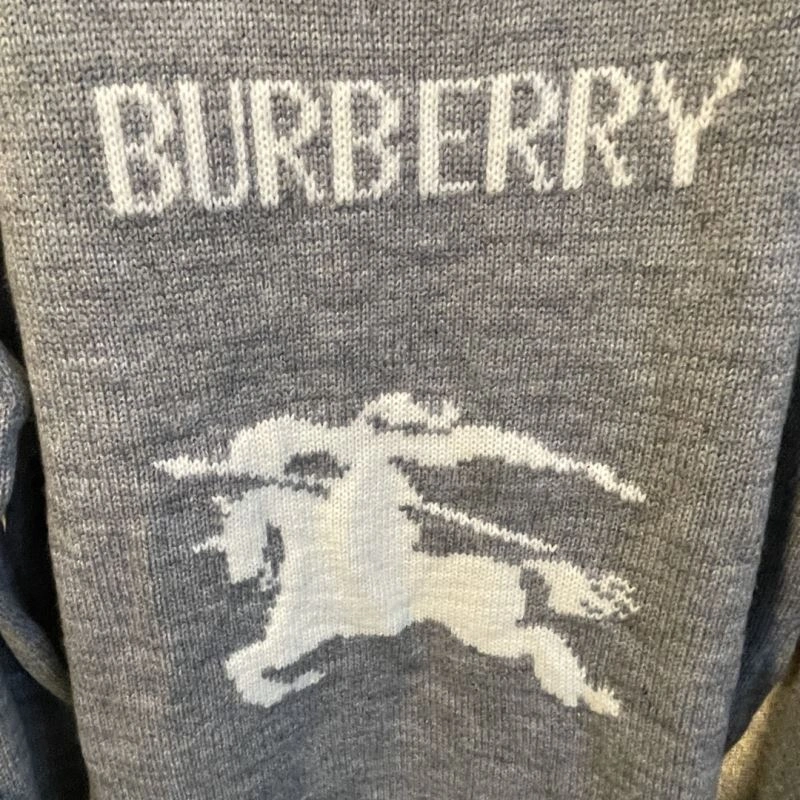 Burberry Sweaters SportInspired 103008