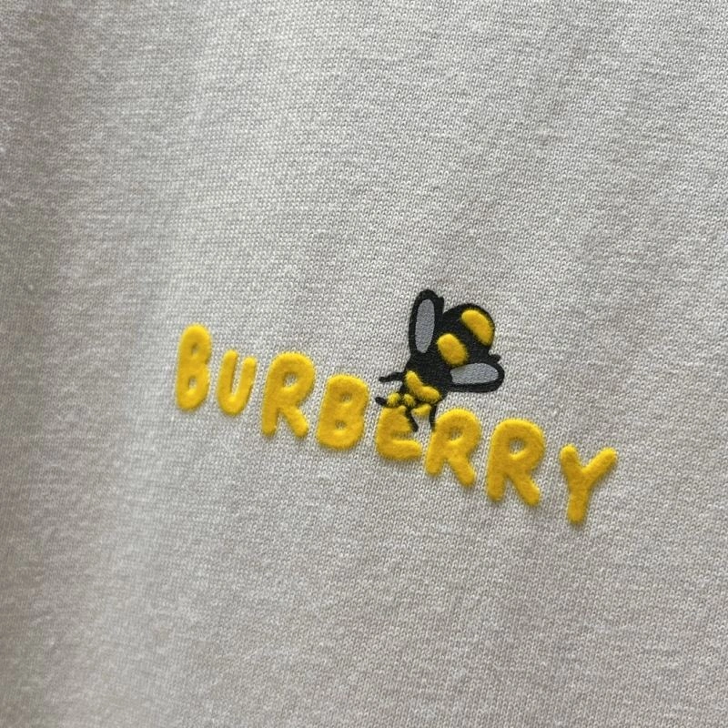 Burberry T-Shirts WellDesigned 102972