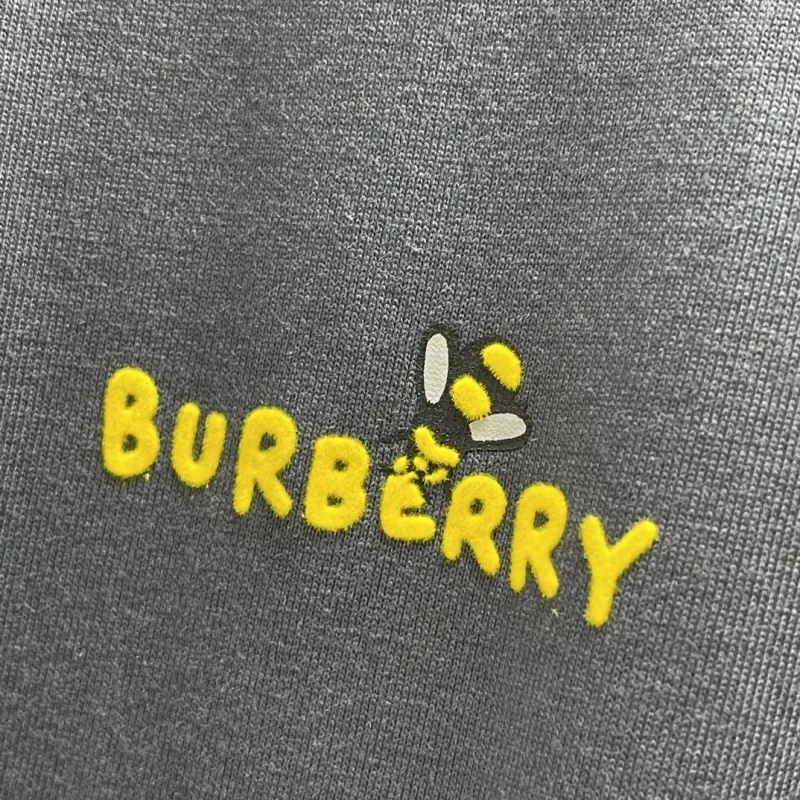 HighQuality Burberry T-Shirts 102929