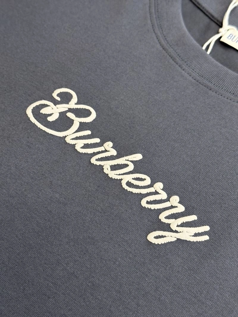 Popular Burberry T-Shirts 102922