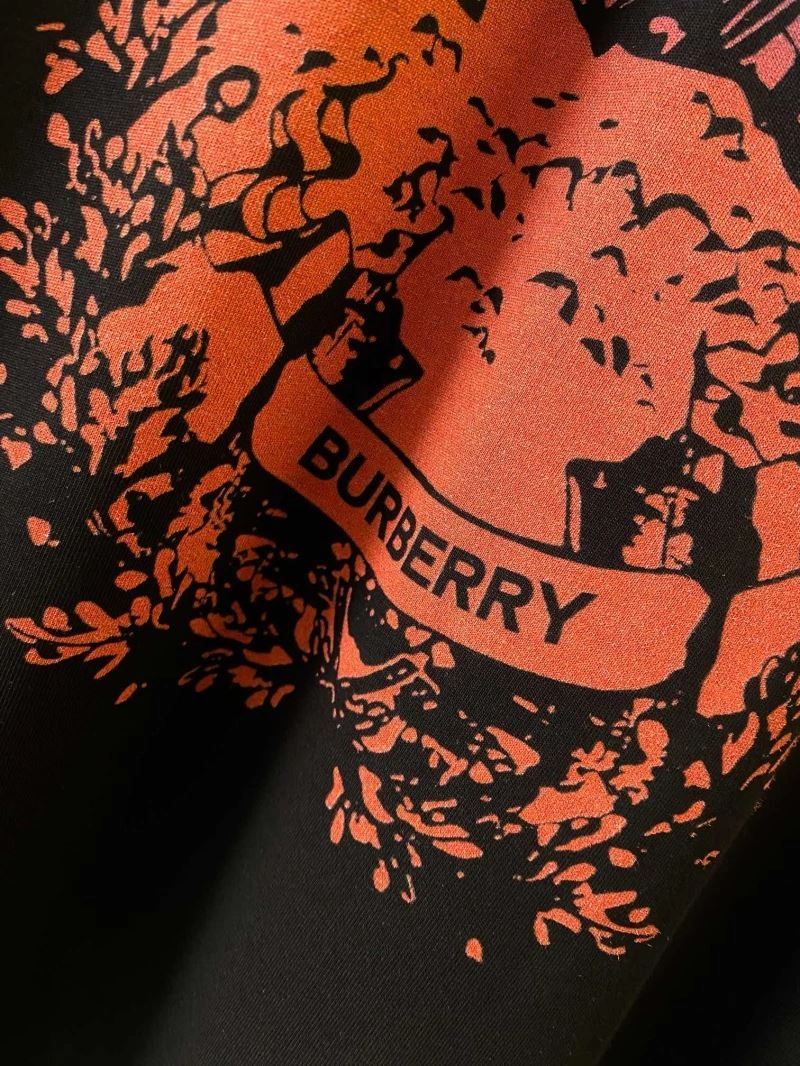 Attractive Burberry T-Shirts 104998