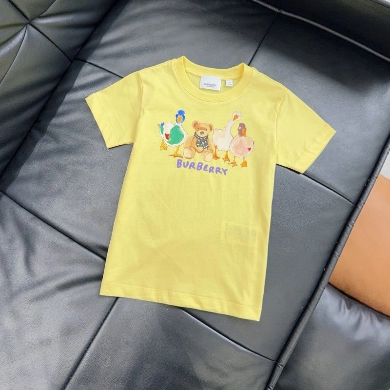 WrinkleFree Burberry T-Shirts 99126
