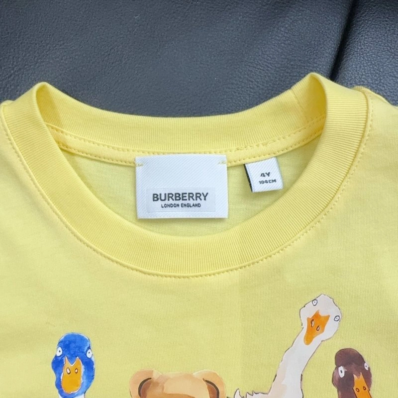 WrinkleFree Burberry T-Shirts 99126