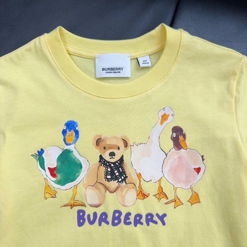 WrinkleFree Burberry T-Shirts 99126