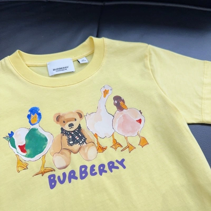 WrinkleFree Burberry T-Shirts 99126