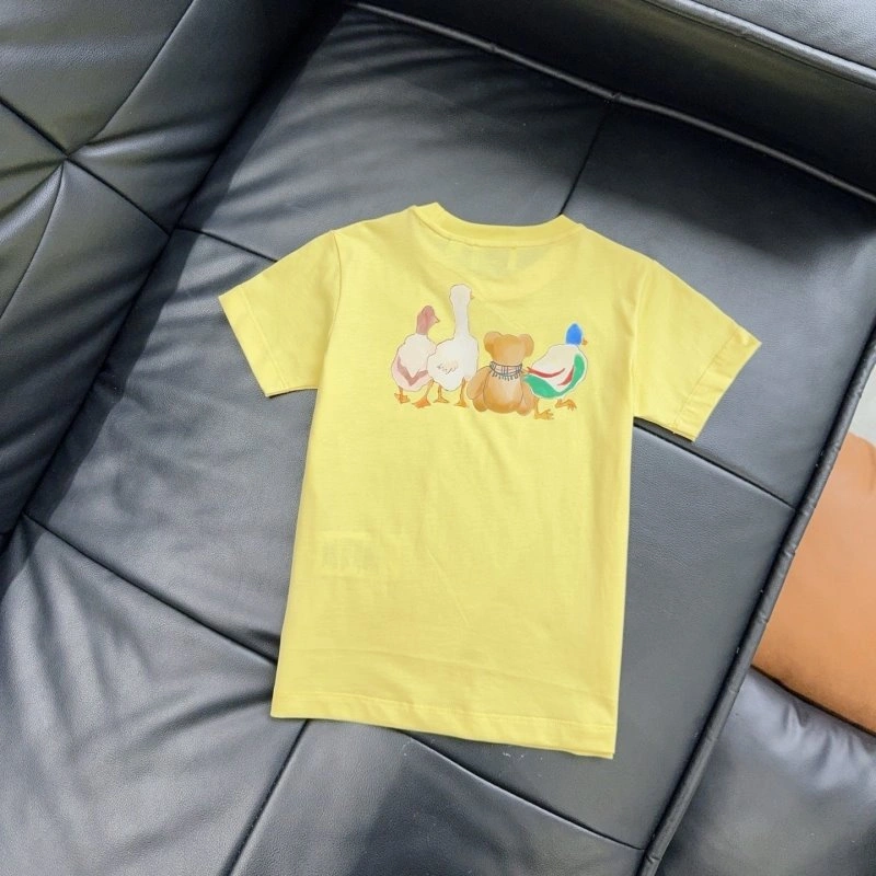 WrinkleFree Burberry T-Shirts 99126