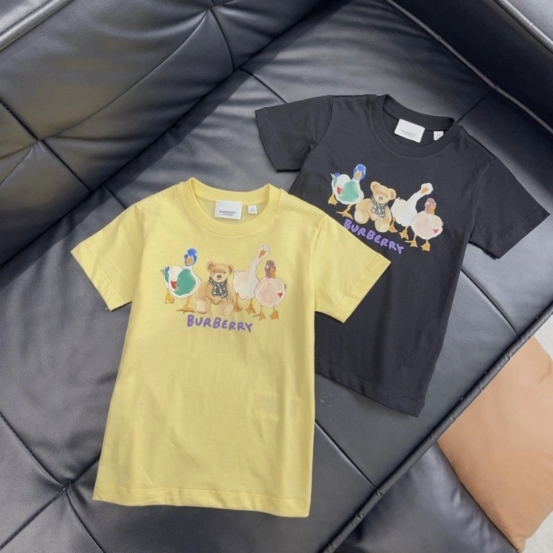 WrinkleFree Burberry T-Shirts 99126