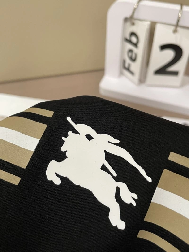 AllSeason Burberry T-Shirts 101579
