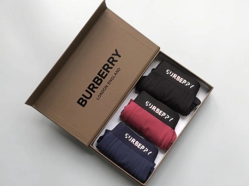 Burberry Underwear Supportive 276832