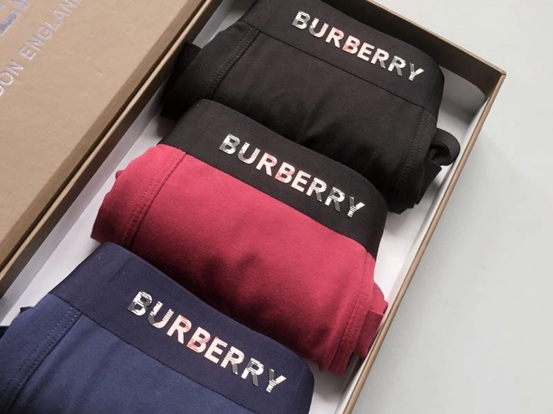 Burberry Underwear Supportive 276832