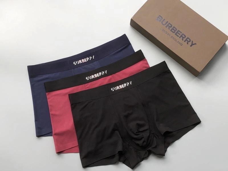Burberry Underwear Supportive 276832