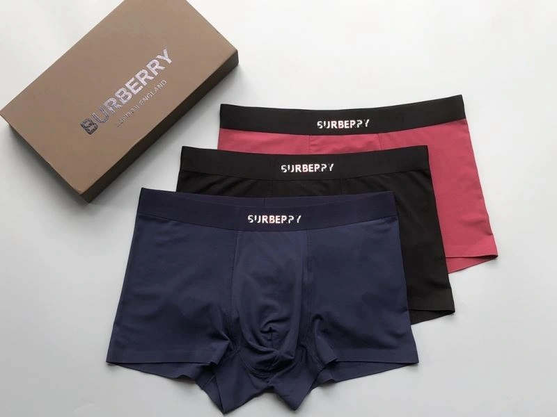 Burberry Underwear Supportive 276832