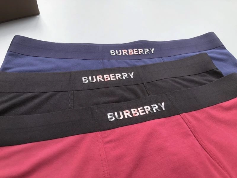 Burberry Underwear Supportive 276832