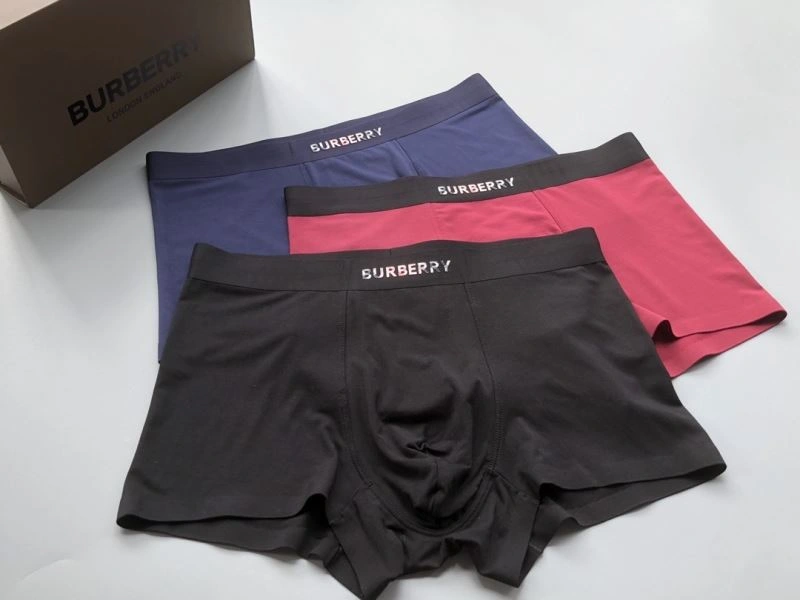 Burberry Underwear Supportive 276832