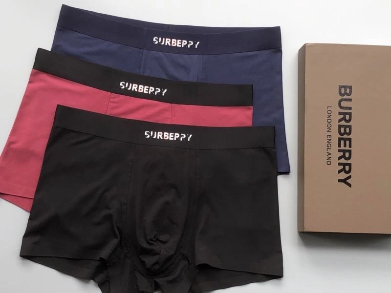 Burberry Underwear Supportive 276832