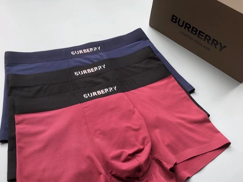 Burberry Underwear Supportive 276832