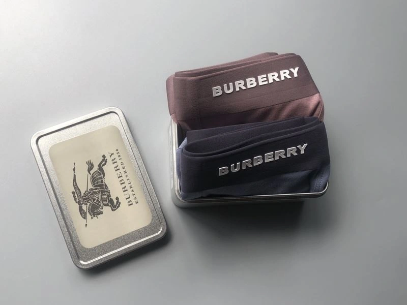 Burberry Underwear Flexible 276828