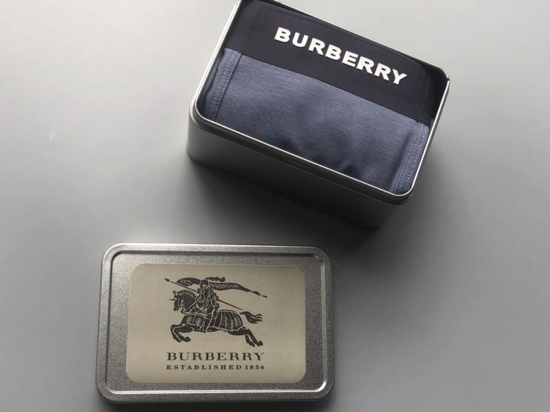 Burberry Underwear Flexible 276828